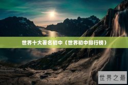世界十大著名初中（世界初中排行榜）