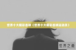 世界十大精彩击球（世界十大精彩击球运动员）
