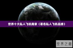 世界十大私人飞机商家（著名私人飞机品牌）