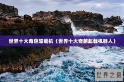 世界十大奇葩超载机（世界十大奇葩超载机器人）