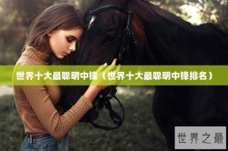 世界十大最聪明中锋（世界十大最聪明中锋排名）