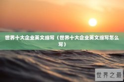 世界十大企业英文缩写（世界十大企业英文缩写怎么写）