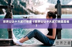 世界公认十大武打明星（世界公认十大武打明星是谁）