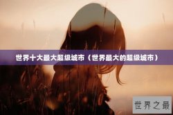 世界十大最大超级城市（世界最大的超级城市）