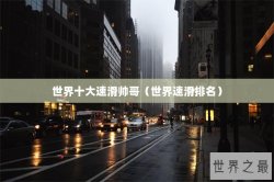 世界十大速滑帅哥（世界速滑排名）