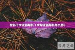 世界十大亚弧焊机（大焊亚弧焊机怎么样）