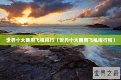 世界十大商用飞机排行（世界十大商用飞机排行榜）