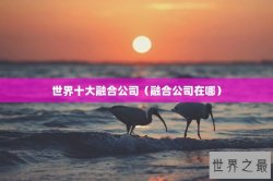 世界十大融合公司（融合公司在哪）