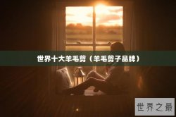 世界十大羊毛剪（羊毛剪子品牌）