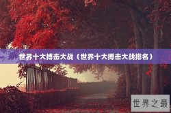 世界十大搏击大战（世界十大搏击大战排名）
