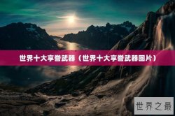 世界十大享誉武器（世界十大享誉武器图片）