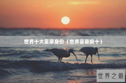 世界十大富豪身价（世界富豪前十）