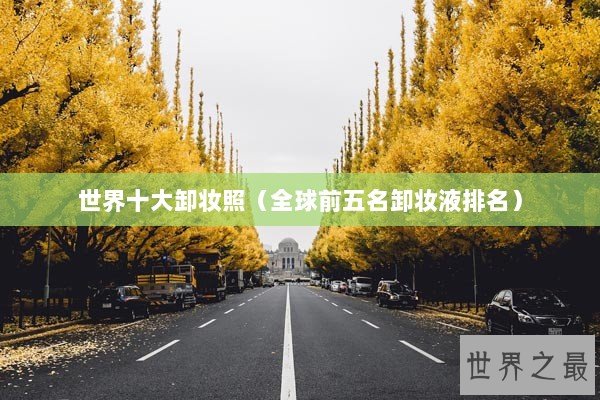 世界十大卸妆照（全球前五名卸妆液排名）