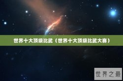 世界十大顶级比武（世界十大顶级比武大赛）