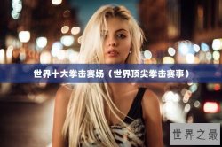 世界十大拳击赛场（世界顶尖拳击赛事）