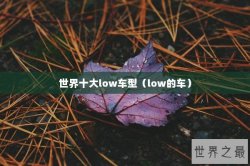 世界十大low车型（low的车）