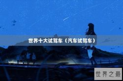 世界十大试驾车（汽车试驾车）