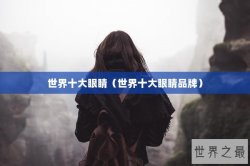 世界十大眼睛（世界十大眼睛品牌）