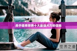 关于坦克世界十大最强火力的信息