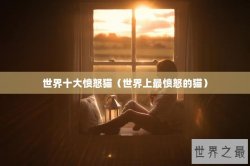 世界十大愤怒猫（世界上最愤怒的猫）
