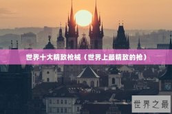 世界十大精致枪械（世界上最精致的枪）