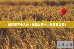 迷你世界十大帅（迷你世界十大帅哥怎么画）