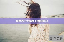 全世界十大水枪（水枪排名）