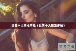 世界十大精准手枪（世界十大精准步枪）