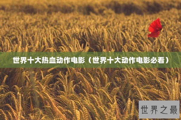 世界十大热血动作电影（世界十大动作电影必看）