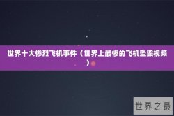 世界十大惨烈飞机事件（世界上最惨的飞机坠毁视频）