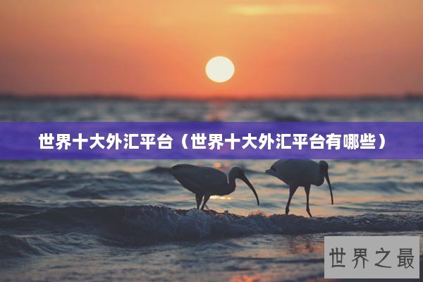 世界十大外汇平台（世界十大外汇平台有哪些）