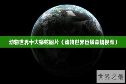 动物世界十大蟒蛇图片（动物世界巨蟒森蚺视频）
