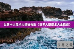 世界十大魔术大揭秘电影（世界大型魔术大全视频）