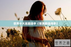 世界十大高能选手（世界最佳选手）