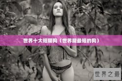 世界十大短腿狗（世界腿最短的狗）