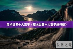 魔术世界十大高手（魔术世界十大高手排行榜）