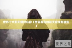 世界十大航天组织名称（世界著名的航天企业有哪些）