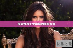 坦克世界十大商城的简单介绍