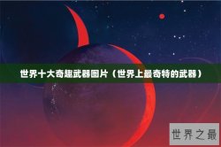 世界十大奇趣武器图片（世界上最奇特的武器）