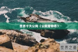 世界十大公狗（公狗宠物名）