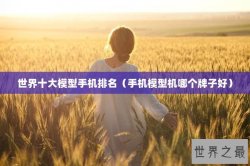 世界十大模型手机排名（手机模型机哪个牌子好）