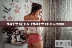 世界十大飞行机构（世界十大飞机排行榜视频）