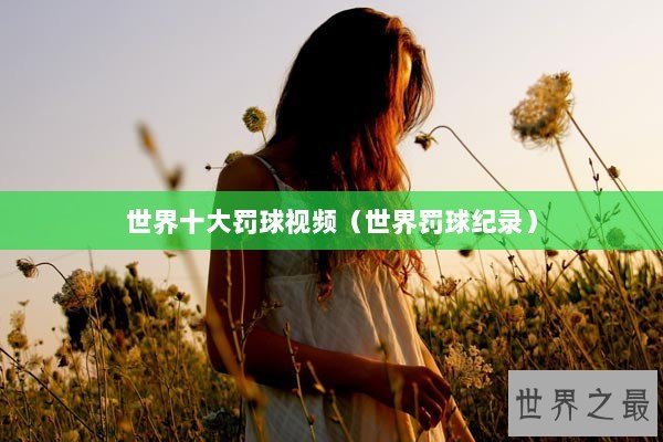 世界十大罚球视频(世界罚球纪录) 世界十大罚球视频(世界罚球纪录)