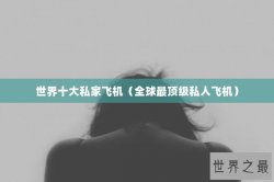 世界十大私家飞机（全球最顶级私人飞机）