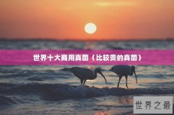 世界十大商用真菌（比较贵的真菌）
