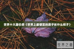 世界十大廉价房（世界上最便宜的房子长什么样子）