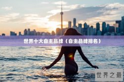 世界十大自主品牌（自主品牌排名）