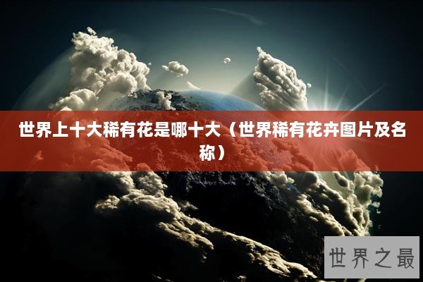 世界上十大稀有花是哪十大（世界稀有花卉图片及名称）