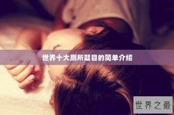 世界十大厕所题目的简单介绍