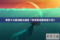 世界十大武功泰斗排名（世界武功排名前十位）